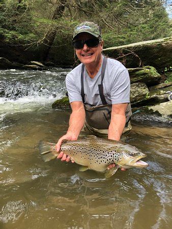 creek river stream|blackhawk fly fishing clarkesville georgia.